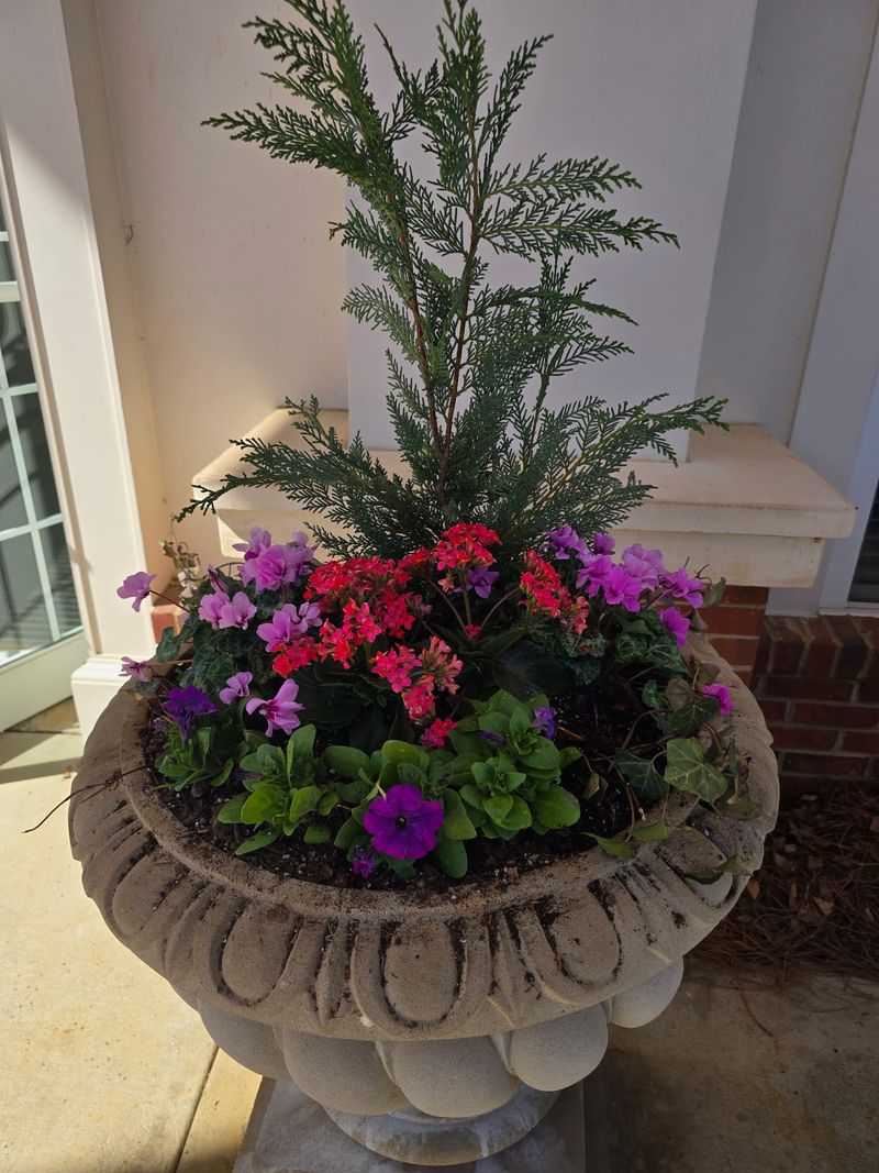 Upgrade Your Entryway With A Welcoming Flower Display