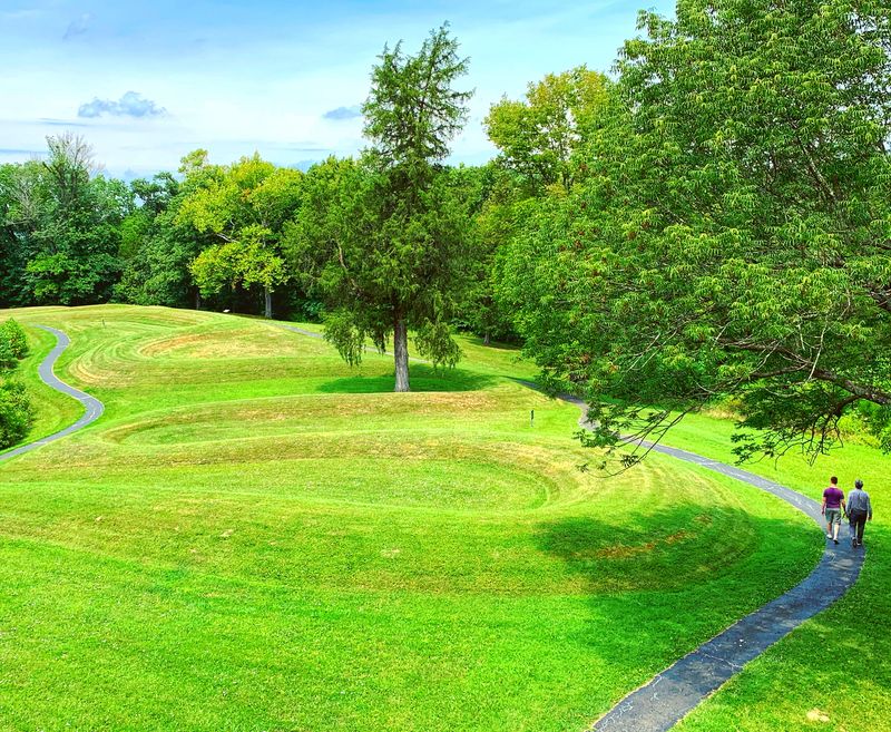 Serpent Mound Woodland Trees, Adams County