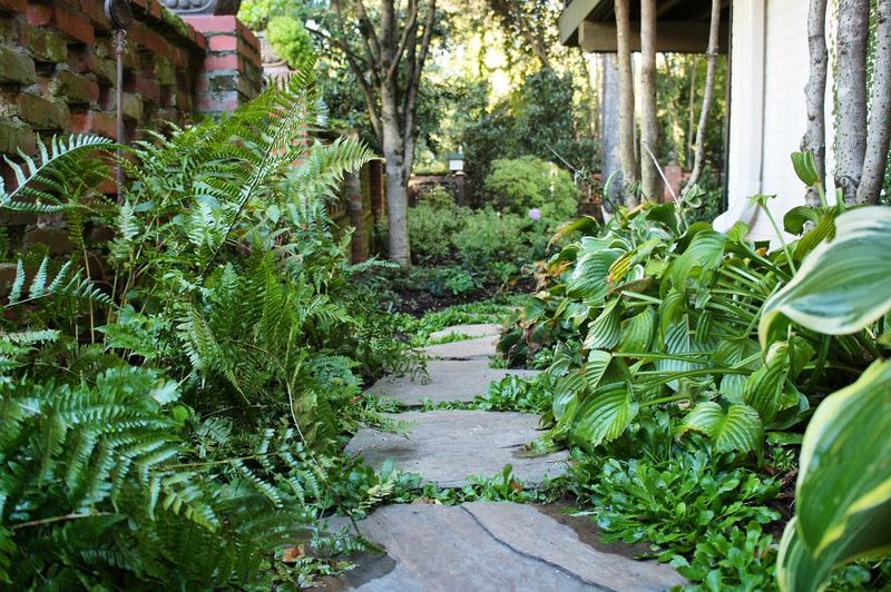 Design A Shade Corner With Ferns And Hostas