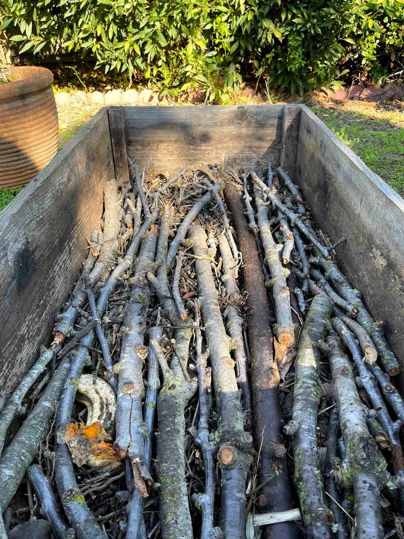 Lay Branches At The Base For Weed Suppression