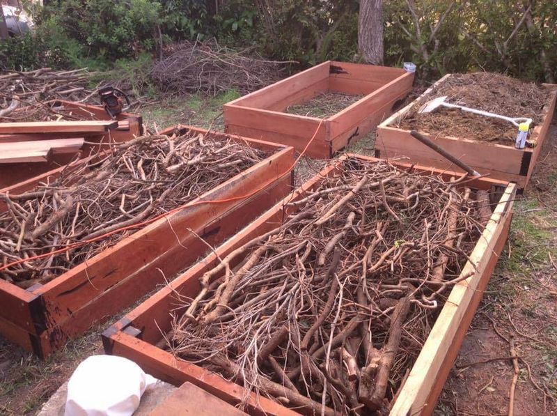 Layer Branches For Hugelkultur Style Raised Beds