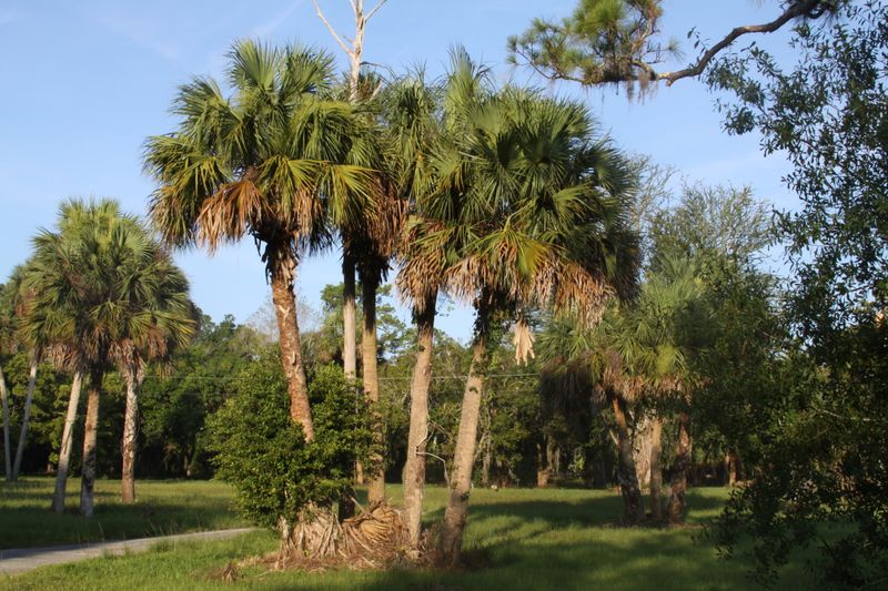 Low Maintenance Beauty That Lasts For Decades