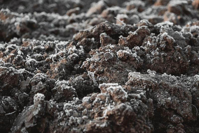 Snow Reduces Soil Heaving Caused By Freeze Thaw Cycles