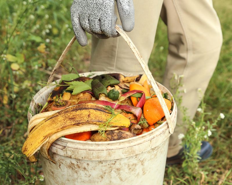 Use Banana Peels To Add Potassium To Soil