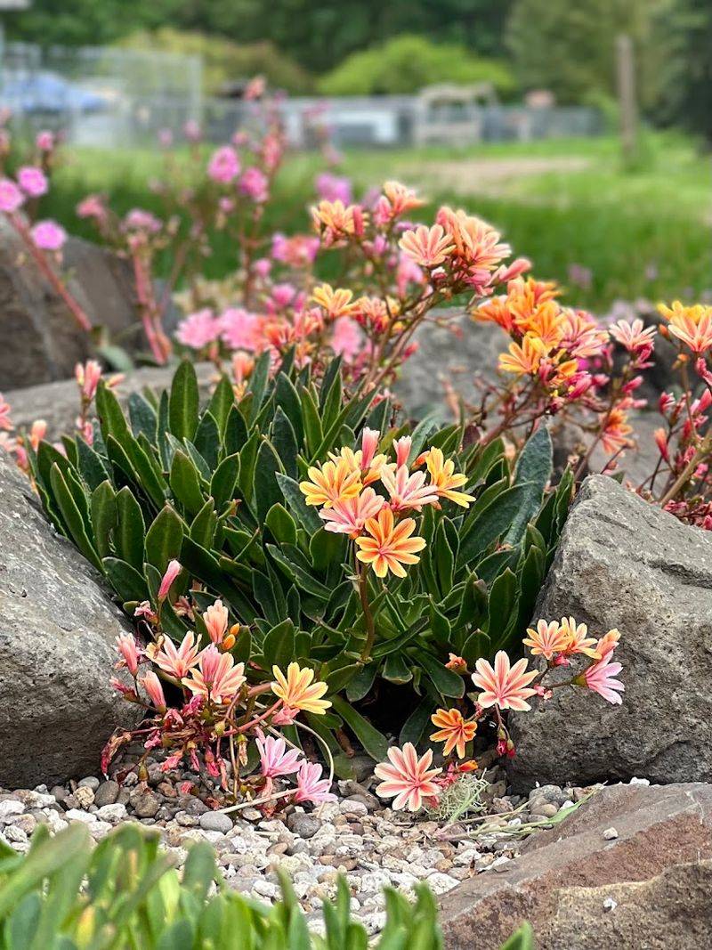 Delbert Hunter Arboretum And Botanical Garden