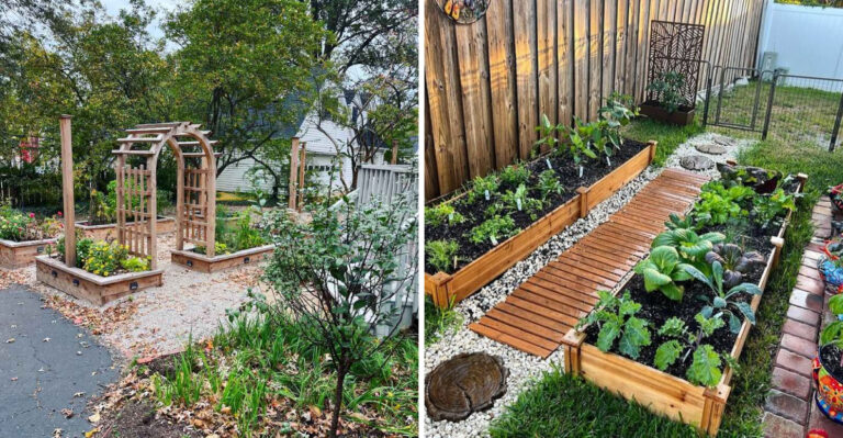 raised garden beds florida
