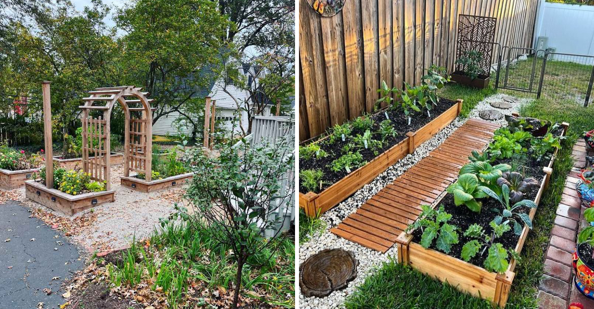 raised garden beds florida