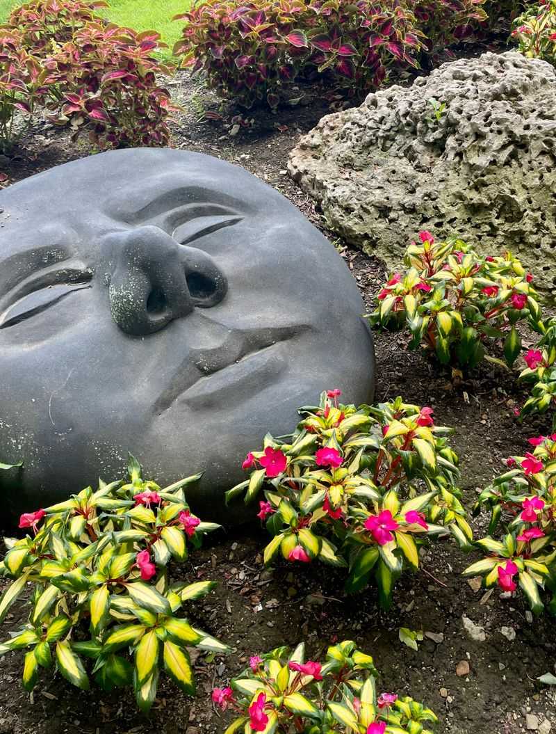 Blooms That Change With The Seasons