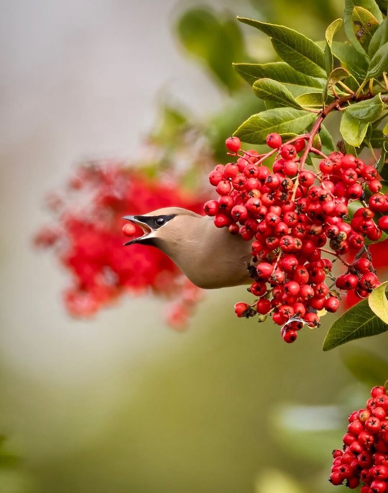 These Common Mistakes Send Birds Packing
