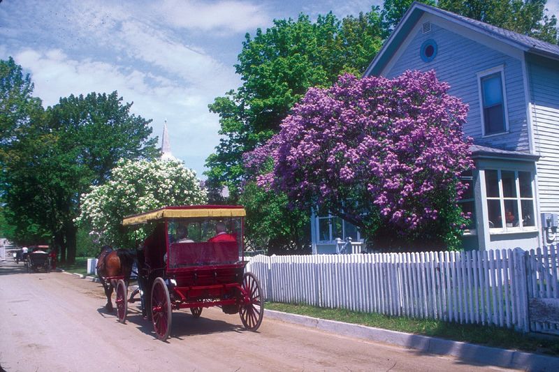 Guided Lilac Tours And Garden Walks Are Part Of The Fun