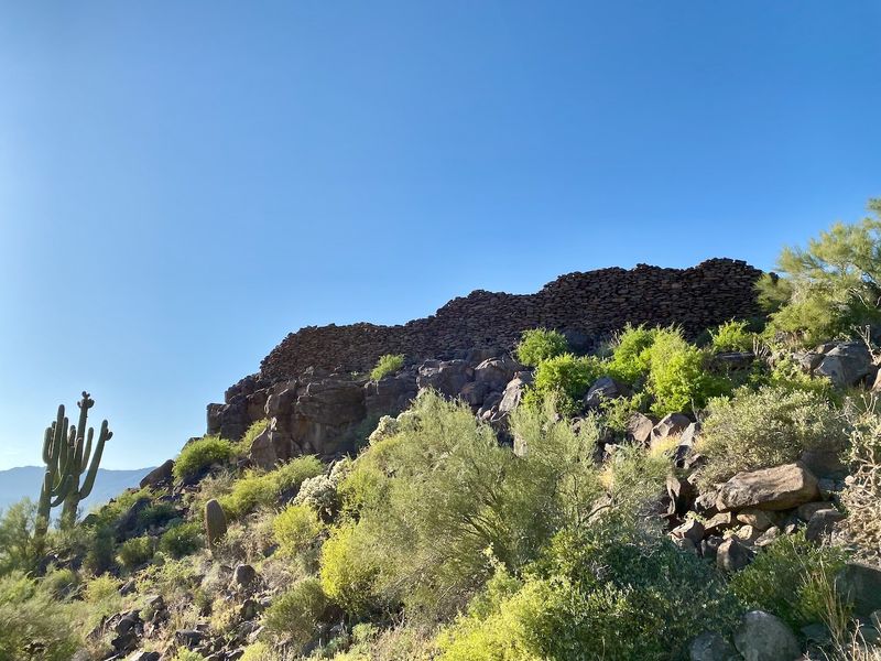 Agua Fria National Monument Highlights Native Grasslands And Agave
