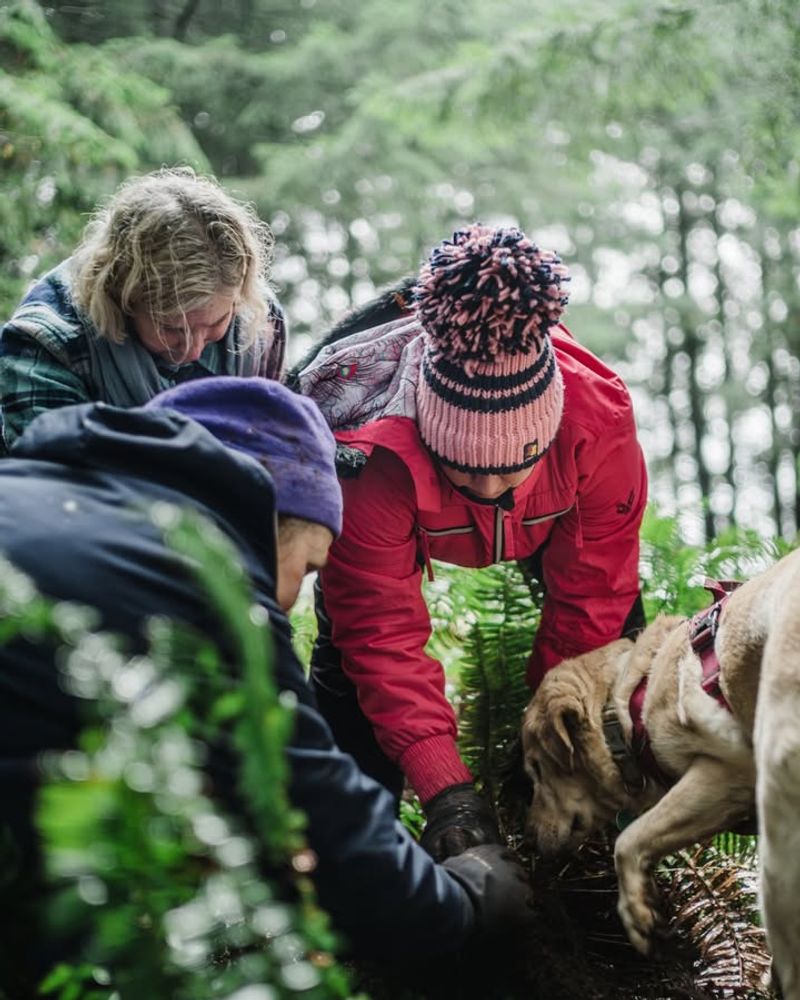 Why February Is Truffle Season