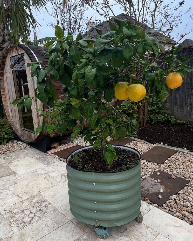 Watering Wisely During Cooler Months