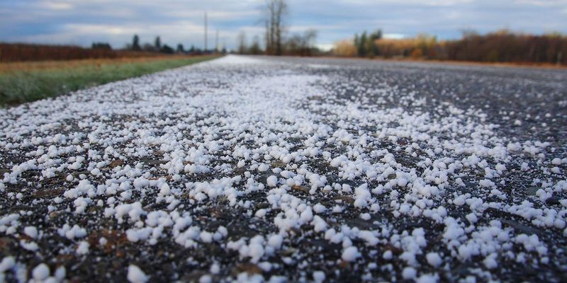 Protect Plants From Road Salt