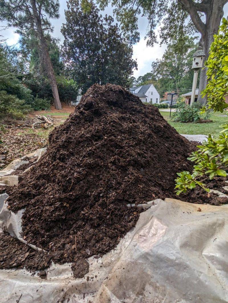 Allow Compost To Cure Before Use