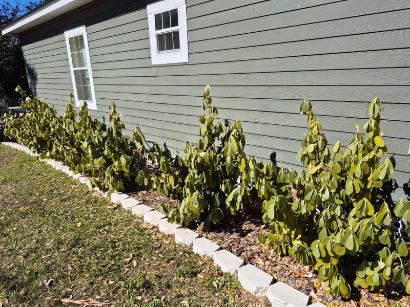 Look For Slow Signs Of Recovery