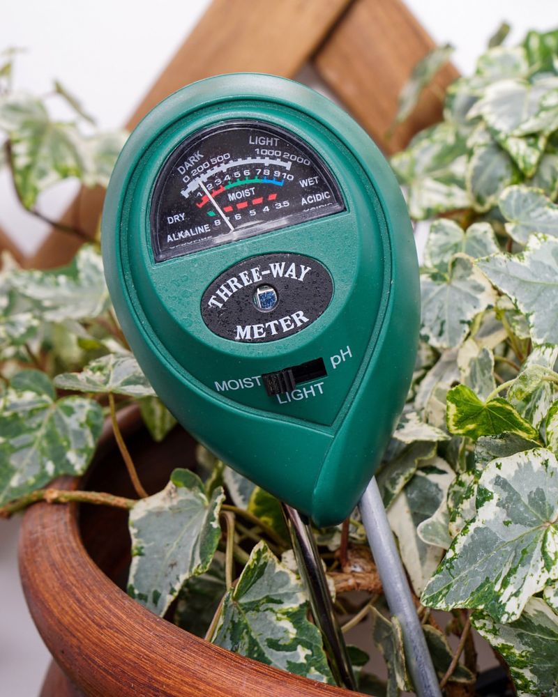 Make Sure Temperatures Are Not Climbing Into Extreme Heat