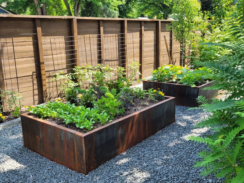 Group Plants By Water Needs For Smarter Care