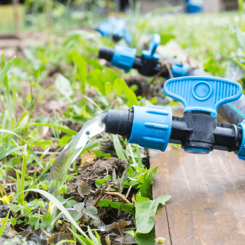 Install Simple Drip Irrigation To Save Water