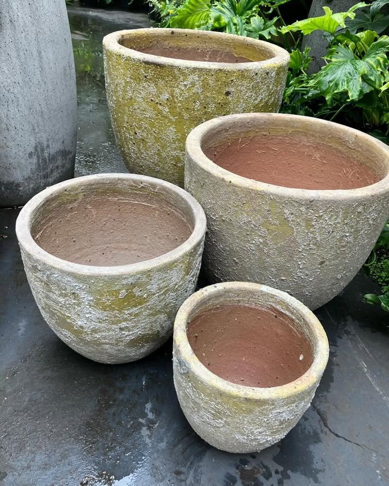 Use Light-Colored, Thick Containers To Reduce Soil Heat