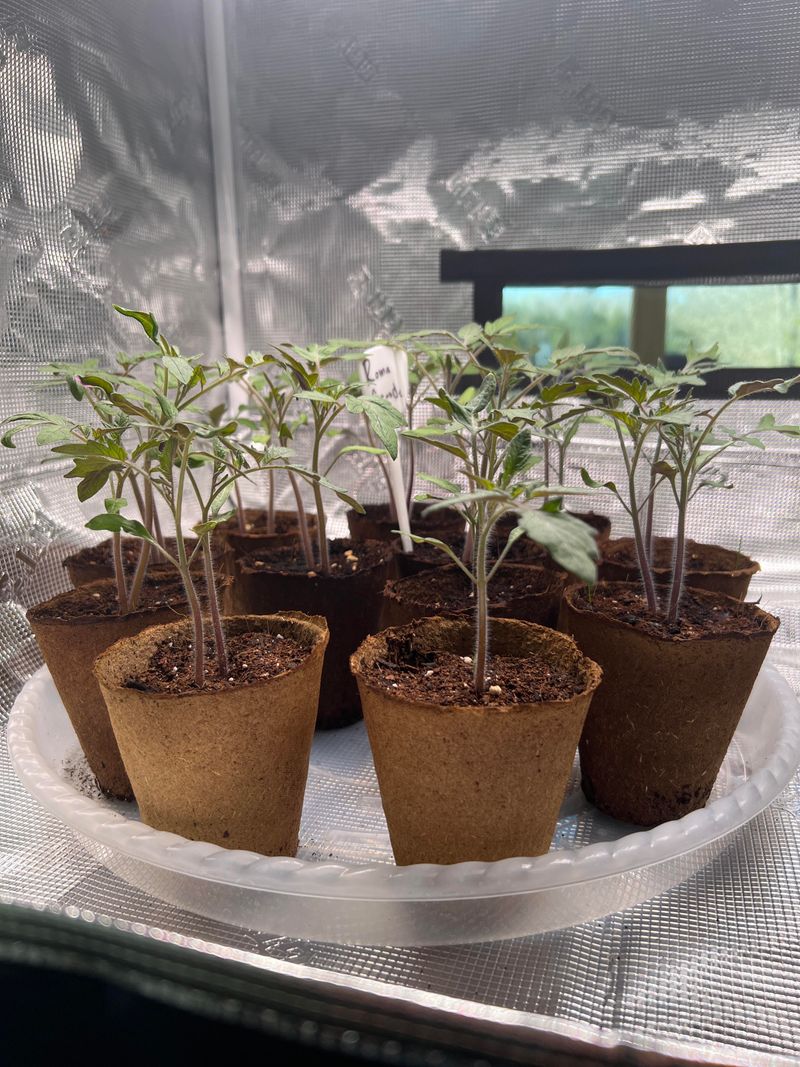 Keep Soil Warm For Faster, Stronger Germination