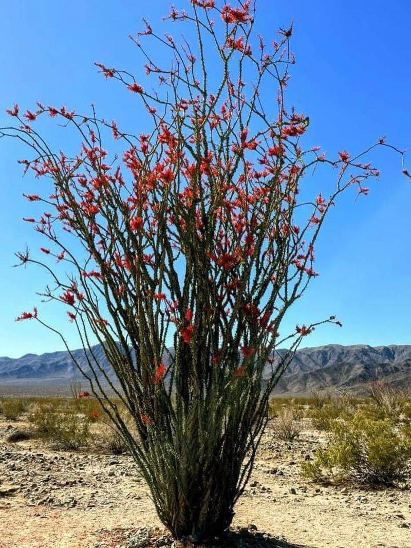 Design Plant Placement To Encourage Natural Airflow