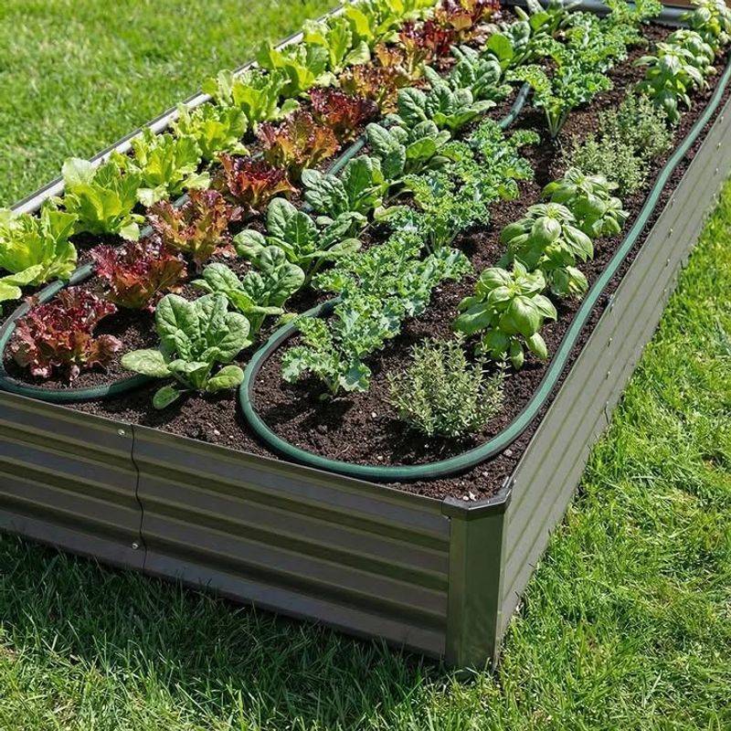 Water Deeply But Less Often