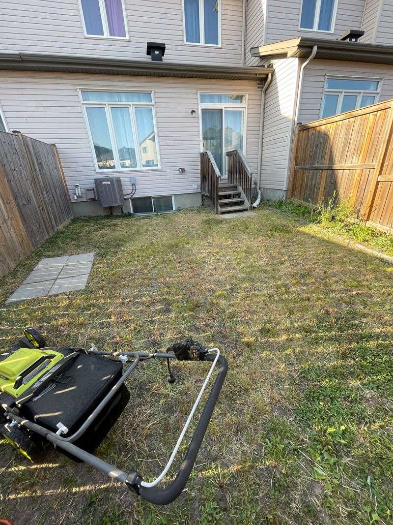 Handle It Yourself When The Lawn Is Simple