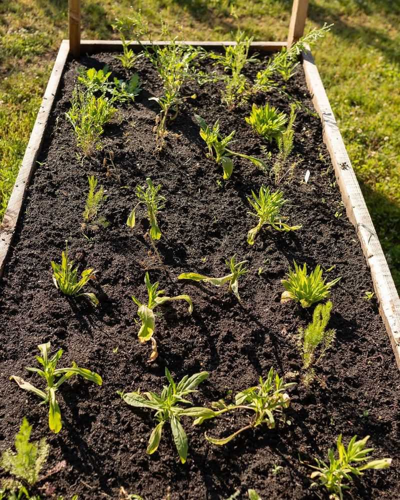 Prepare Fertile Soil