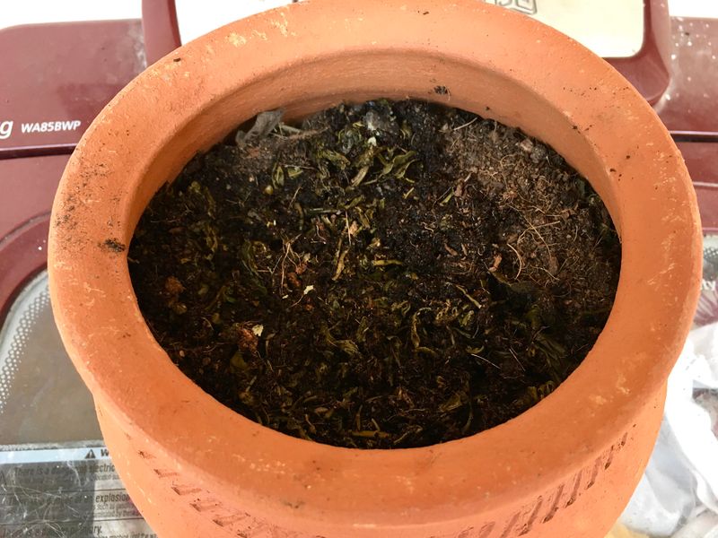 Add Natural Activators Without Overdoing It