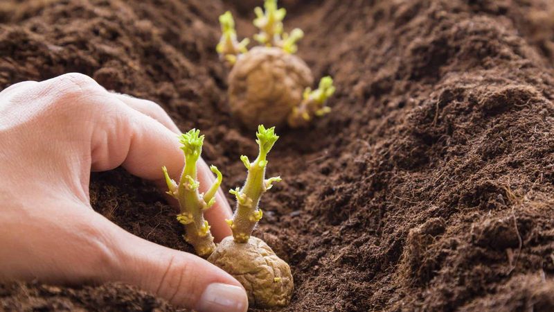 Time Your Planting Perfectly With Pennsylvania's Growing Season