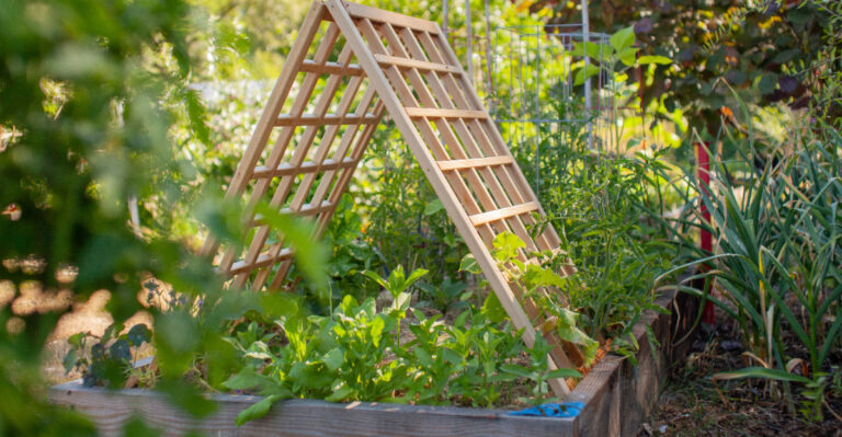 veggie trellis