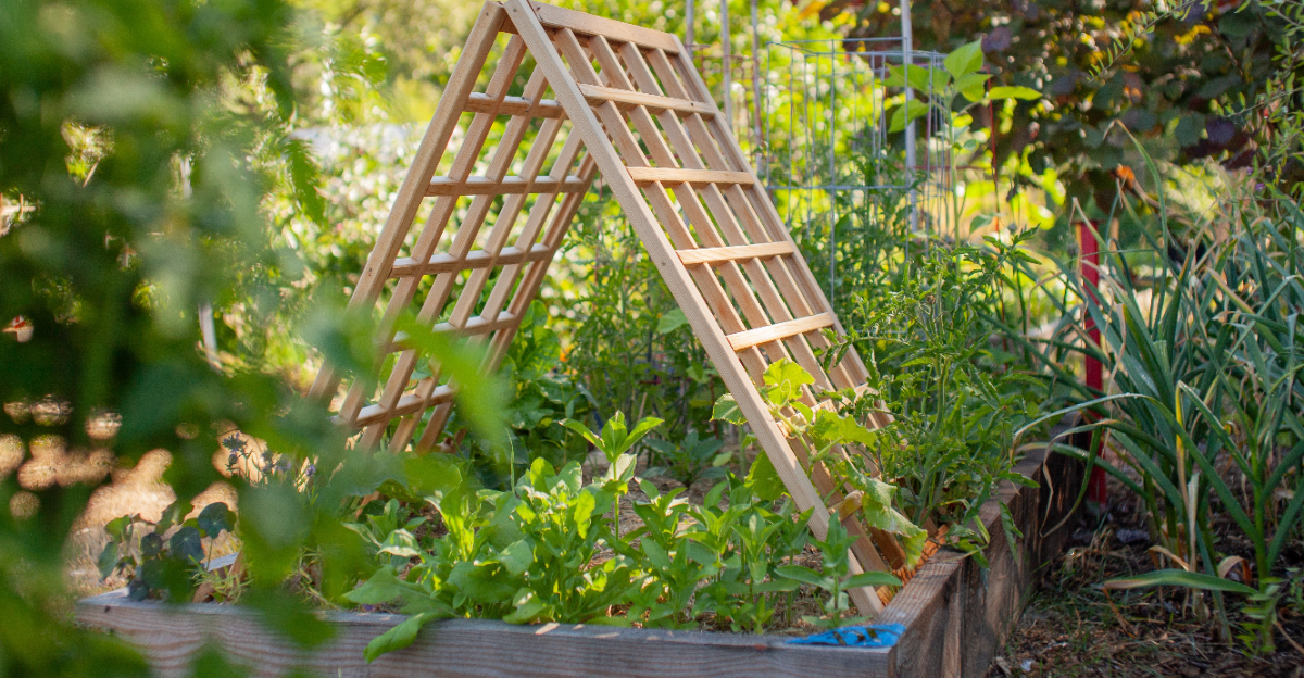 veggie trellis