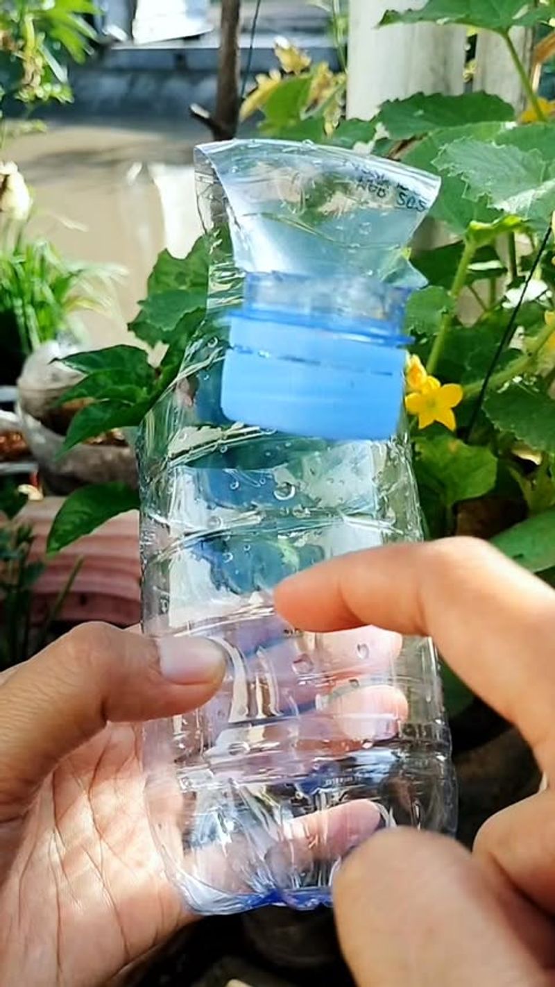 Preparing Your Bottles With Proper Drainage And Cutting