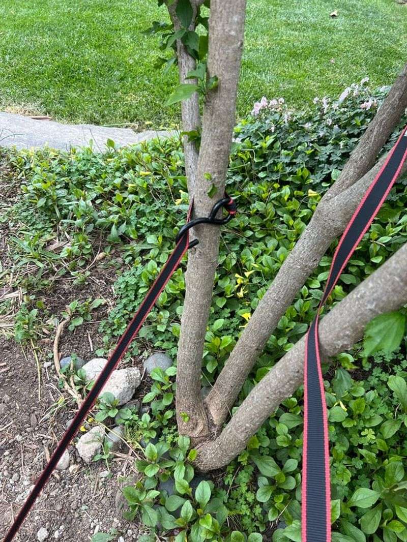 How Tight Is Too Tight?