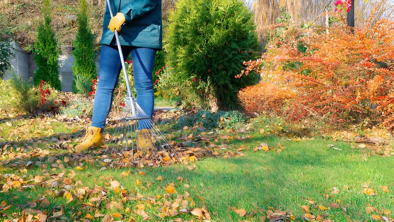 Gently Remove Excess Winter Debris