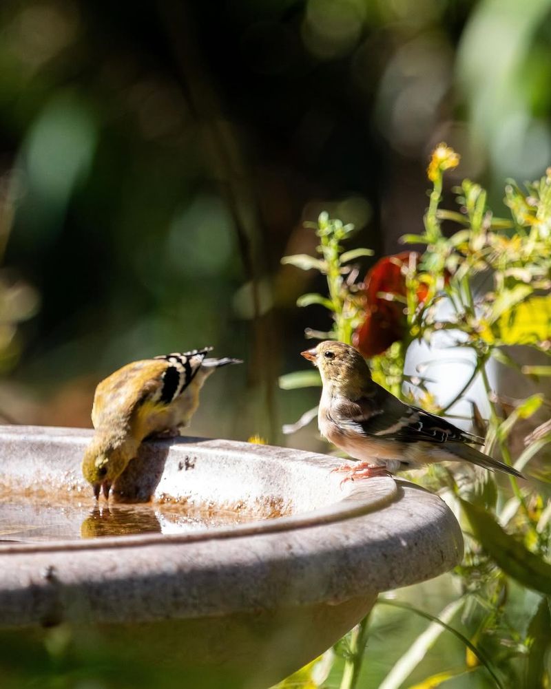 What Arizona Homeowners Notice After Making The Shift