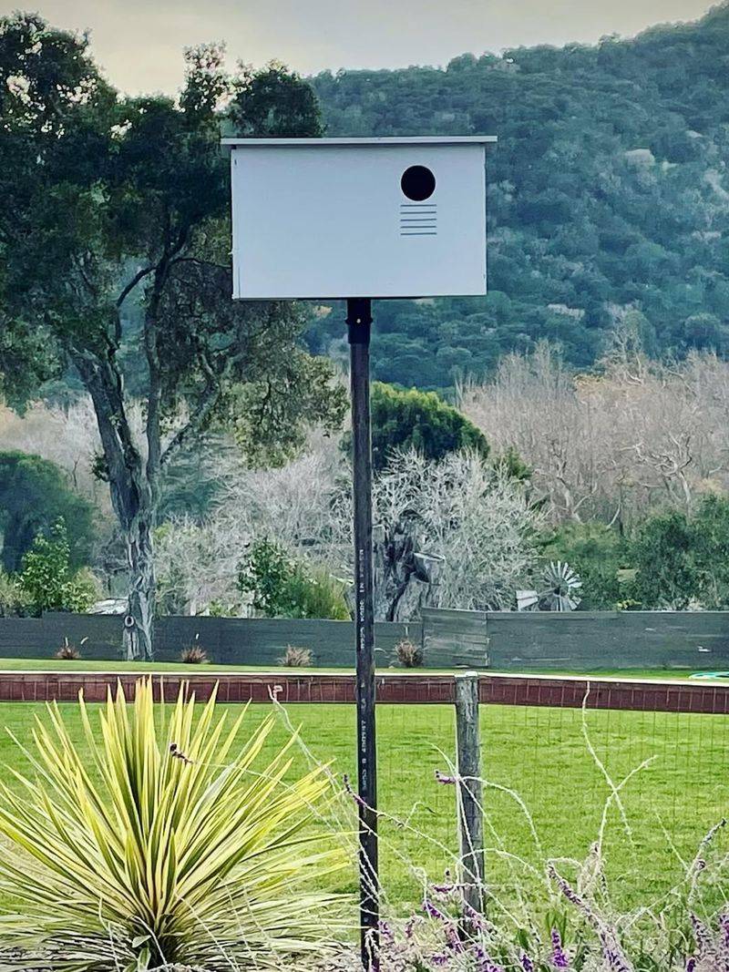 Encourage Owls And Natural Predators