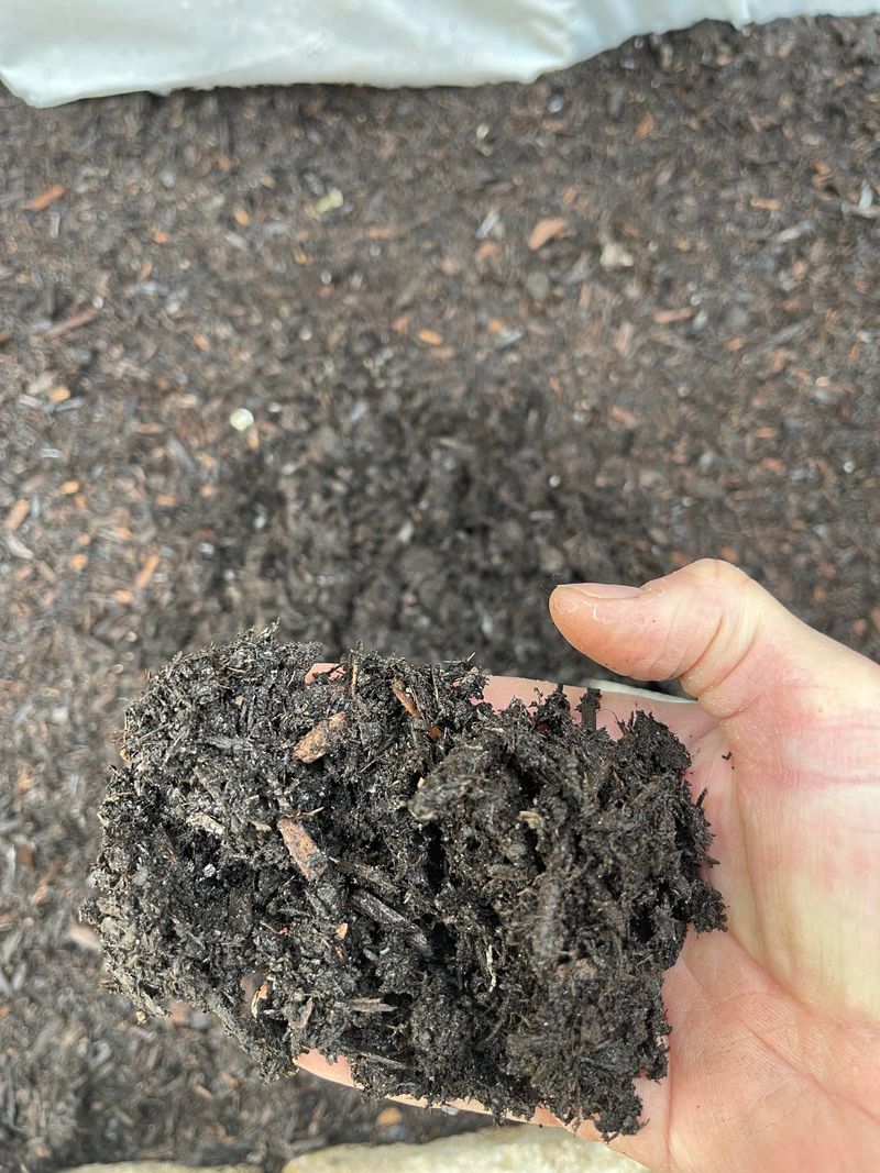 Check Soil Drainage After Winter Rains