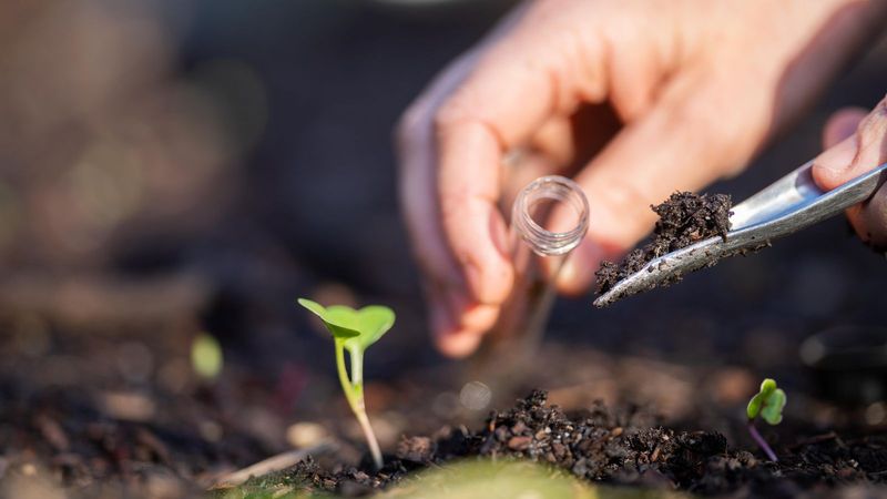 Test And Amend Your Soil For Optimal Growth