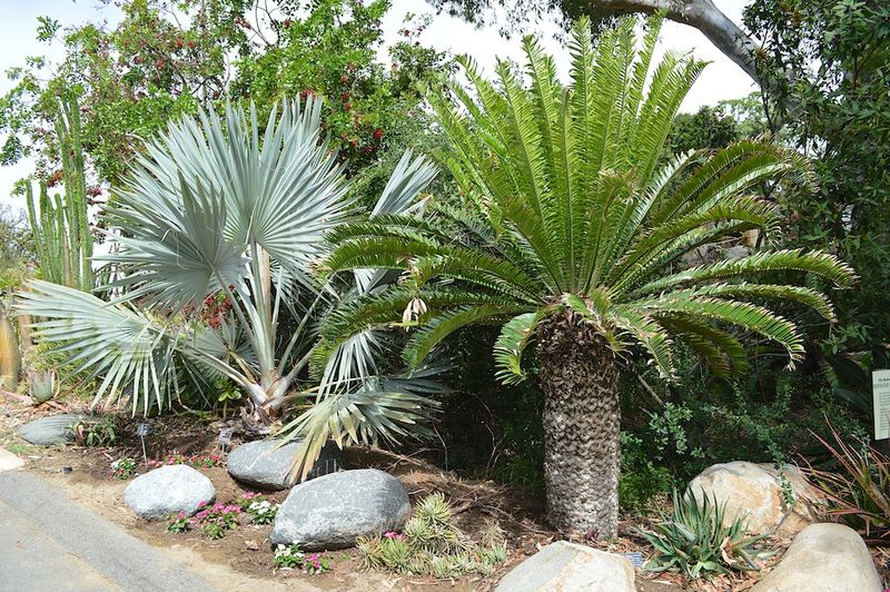 Propagation Breakthroughs And Challenges