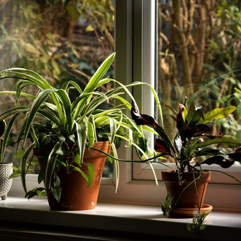 Sudden Temperature Swings From Heating Systems Cause Shock