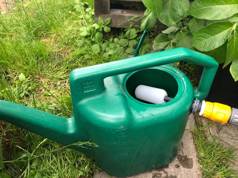 Water Deeply Instead Of Watering Frequently