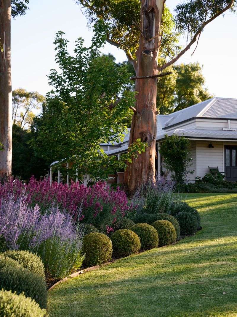 Low-Water Flower Bed