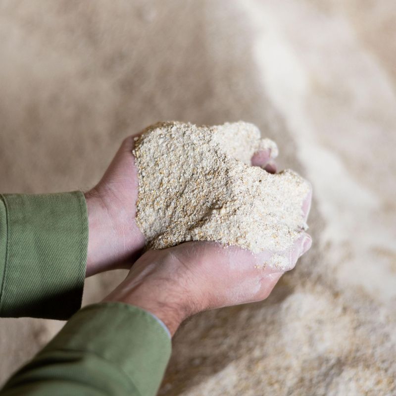 Apply Corn Gluten Meal