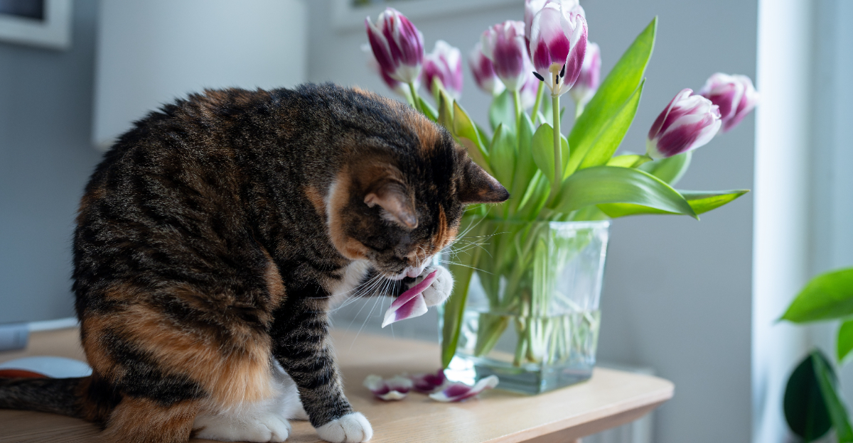 cat sniffing flowers