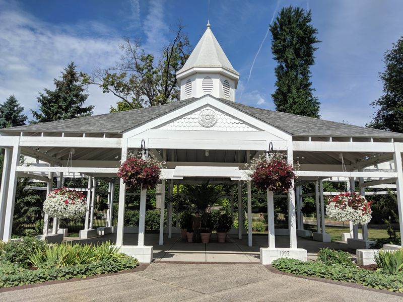 Orchid Collection: Exotic Elegance And Diversity