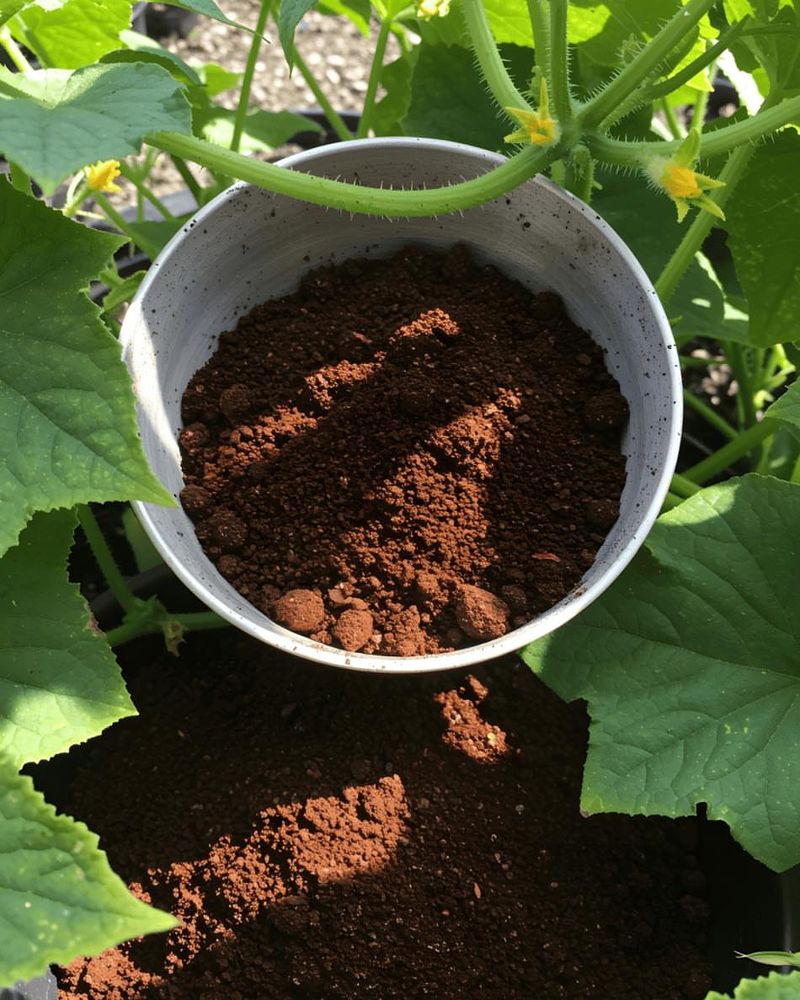 Mix Grounds With Leaves Or Soil