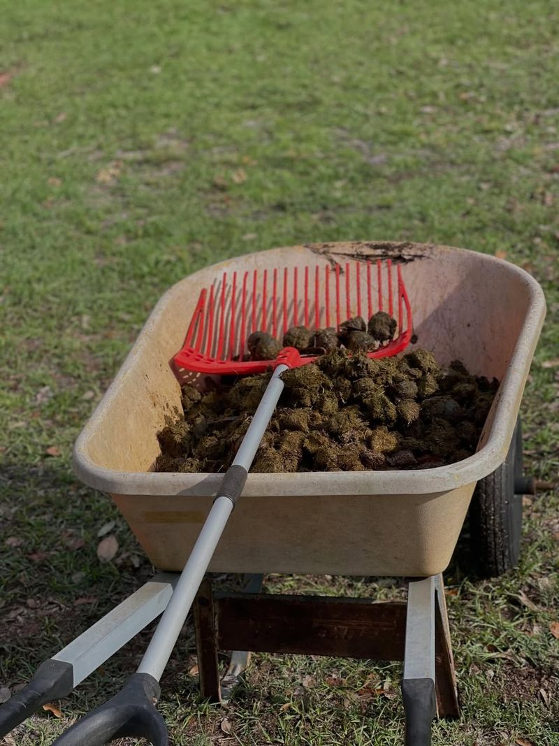 Aged Manure Adds Slow-Release Organic Matter
