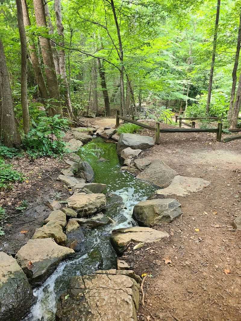 Educational Value For Learning About Wetland Ecosystems